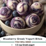 Blueberry Greek Yogurt Bites
