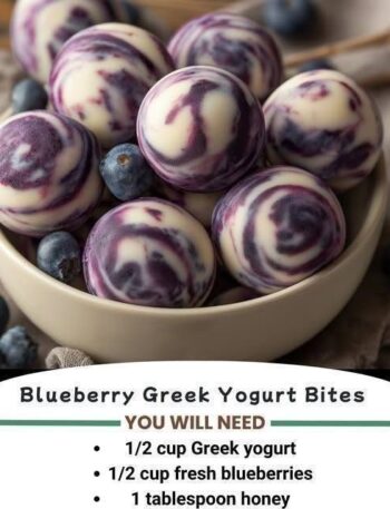 Blueberry Greek Yogurt Bites