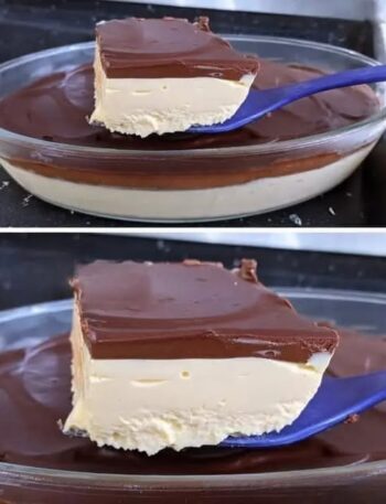 Chocolate Custard Layer Delight