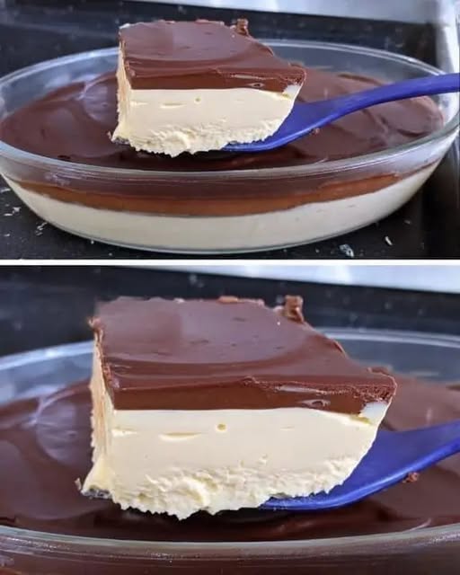 Chocolate Custard Layer Delight