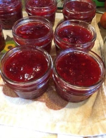 Homemade Jam Recipe
